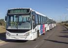 La Municipalidad presentó la línea T de Transpuntano