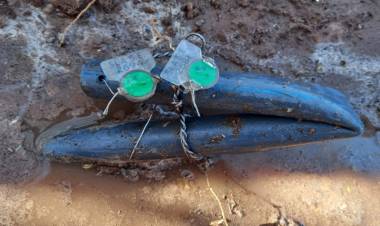 Agua cruda: anulan dos conexiones clandestinas
