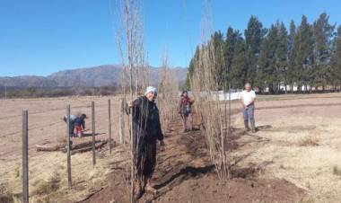 NOGOLÍ: se entregaron más de 5.000 álamos