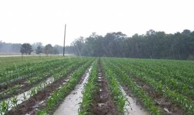 Post sequía: qué pasaría si las lluvias son muy abundantes