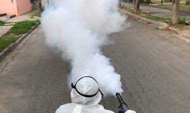 Ciudad de San Luis: campaña “Todos contra el dengue”
