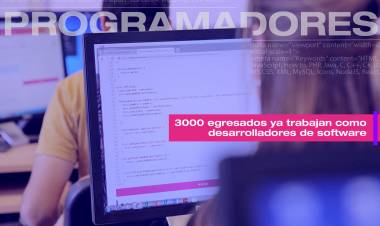 INDUSTRIA DEL SOFTWARE: DESARROLLO Y EMPLEABILIDAD