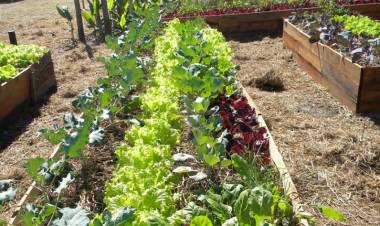 INTA SAN LUIS: ENTREGA DE KITS DEL PROGRAMA PROHUERTA