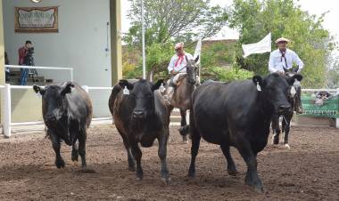 Ganadera del Sur tuvo su segundo remate del mes