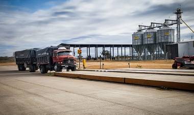 Agrozal se destaca en el almacenamiento de granos