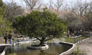 VILLA LARCA: el camping con nuevas piletas naturales