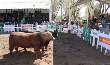  PROGRAMA DEFINITIVO DE LA 92º EXPO RURAL RÍO QUINTO