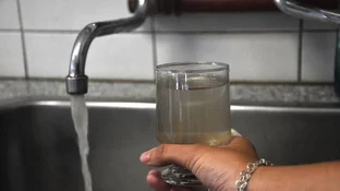 Hissa adelantó la copa de leche a domicilio . Envía chocolatada al 85 ? los chicos de San Luis.