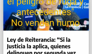 Fiscal a Sosa"la reiterancia es ridícula.. Ya se aplica con el peligro de fuga y antecedentes para la preventiva..Aprobaron un adelanto de sentencia Inconstitucional". Burros son, dices dos agentes .