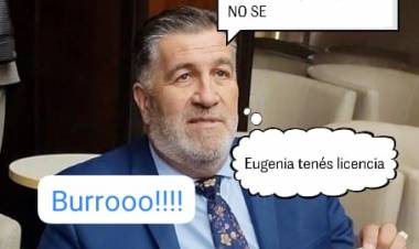 Alex Caniggia Leyes y otra burla.Como no sabe leer , violó el art.106 de la Constitución, otorgando licencia ad referéndum a la Sanjua Gallardo  para que corrija él envenenamiento del PANE que ya tiene chicos graves 