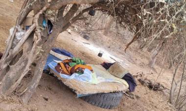 10 hacheros acordaron indemnización por trata con él acusado .Delito Federal resuelto de manera diligente