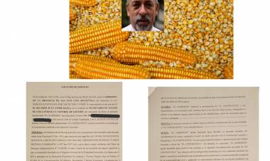 El CABURE: él testimonio del cosechador dejó claro que nadie controló lo que se llevaron. Justo se le rompió el medidor de cosecha . El escándalo de las órdenes del Fiscal de Estado y de la Secretaría de Ética que no controlaron .