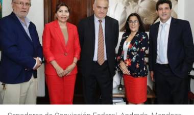 Salino y la anarquía del PJ. Votará él presupuesto de Milei .Tumba todo y cada uno de los dirigentes del PJ quedaría en libertad para cualquier cosa .