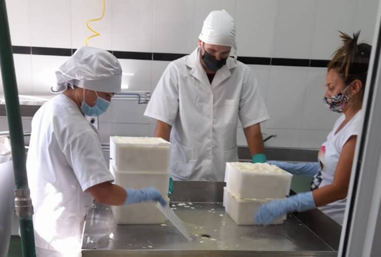 FOMENTO A LA INDUSTRIA QUESERA: capacitan a productores lecheros 