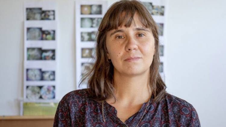 Tecnología lítica, la subsistencia y el arte rupestre