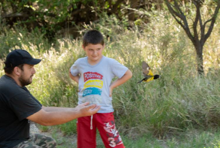 LUJÁN: liberaron cinco aves rescatadas del tráfico ilegal