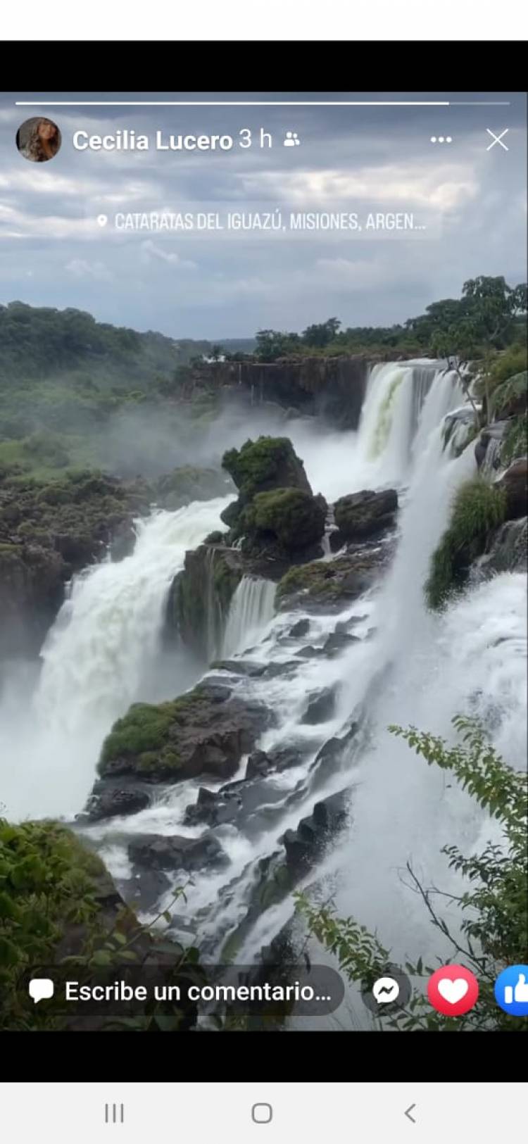 Una Concejal de Poggi posteó en Cataratas  y demostró la hipocresía opositora 