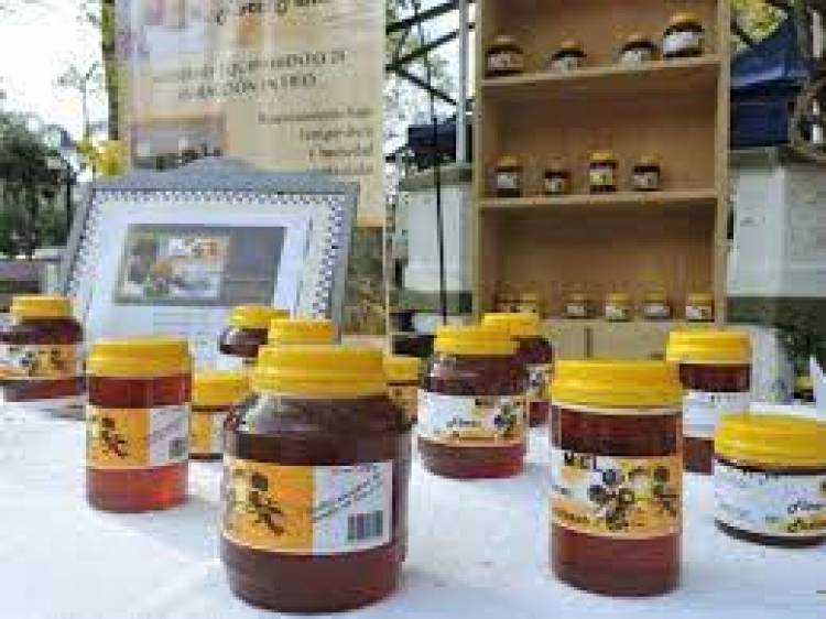 Valores que no acompañan a los productores de miel