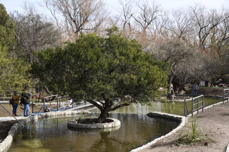 VILLA LARCA: el camping con nuevas piletas naturales