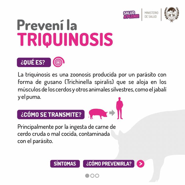 ALERTAN POR BROTE DE TRIQUINOSIS EN EL DEPARTAMENTO JUNÍN