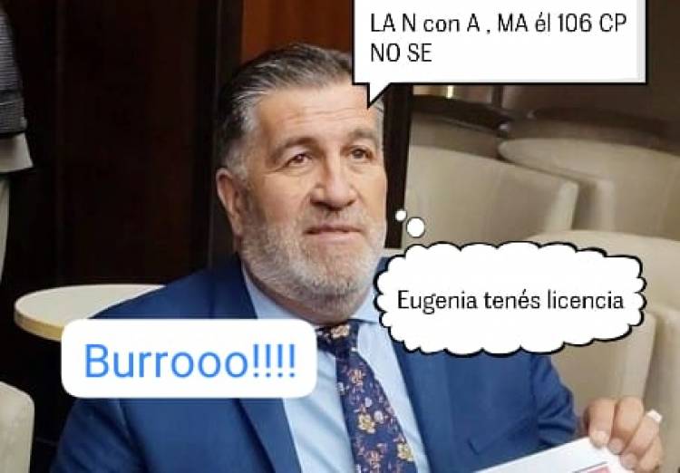 Alex Caniggia Leyes y otra burla.Como no sabe leer , violó el art.106 de la Constitución, otorgando licencia ad referéndum a la Sanjua Gallardo  para que corrija él envenenamiento del PANE que ya tiene chicos graves 
