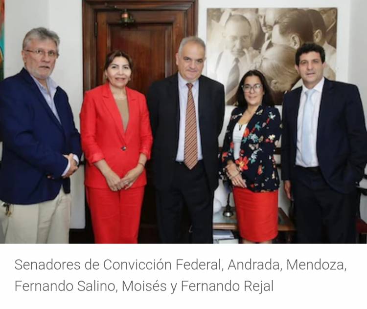 Salino y la anarquía del PJ. Votará él presupuesto de Milei .Tumba todo y cada uno de los dirigentes del PJ quedaría en libertad para cualquier cosa .