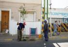 Ciudad de San Luis: continúa la forestación urbana