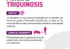 ALERTAN POR BROTE DE TRIQUINOSIS EN EL DEPARTAMENTO JUNÍN