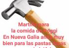 Envenamiento de chicos .Suspenden el PANE en dos Escuelas, pero él desastre de quienes son los proveedores punteros políticos es absoluto.En Nueva Galia ravioles como piedra.