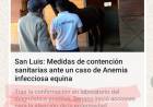 Confirmo Nación que en San Luis hay Anemia Equina.Lo había adelantado EA.Funcionarios Nacionales que callaron, premio Dupuy de por medio.. Escándalo Sanitario sin precedentes.