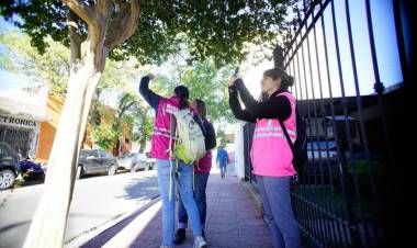 Ciudad de San Luis: avanza el censo de arbolado público 