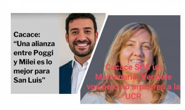 Dura réplica de Titina Nicoletti a Cacace"Mercenario, vendete vos, pero no arrastres a la UCR.Alejandro quiere que POGGI vaya con MILEI.