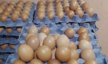 San Luis: El 88 por ciento de los asalariados compra alimentos ,a crédito tarjeta. El sector público,, él peor