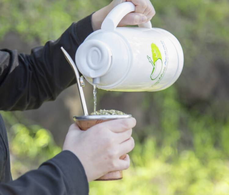La IARC declara que el mate no es cancerígeno
