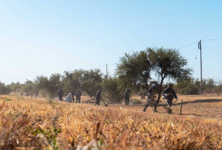 Un abordaje integral de servicios sobre la Ruta 146
