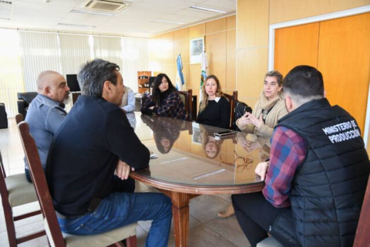 Estrategia conjunta contra enfermedades equinas