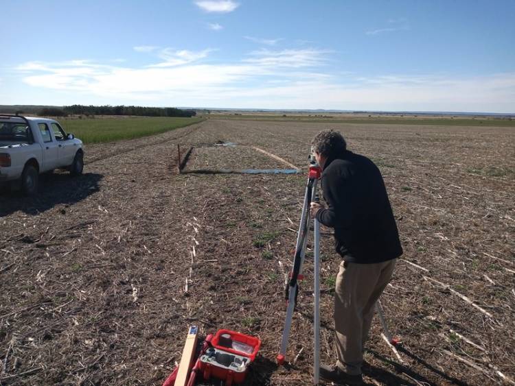 Los cultivos de cobertura reducen las tasas de erosión