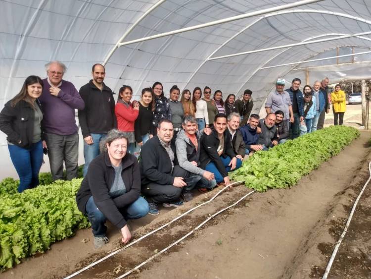 TILISARAO: producción propia de lechuga