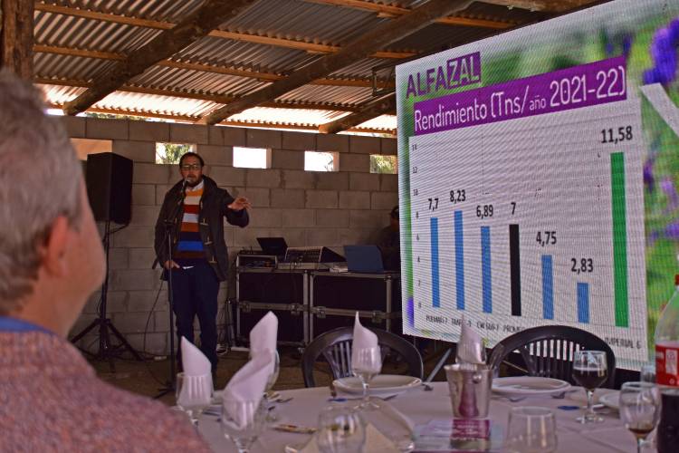 Plan Plurianual de Alfalfa: más productores se suman