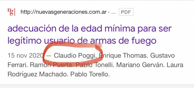 Poggi y su pretensión de bajar la edad a menores para que tengan armas .Una contradicción escandalosa 