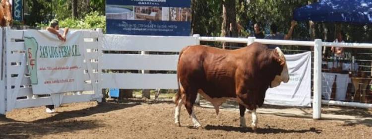 Cabaña “La Pasión” realizó su 8ª subasta anual