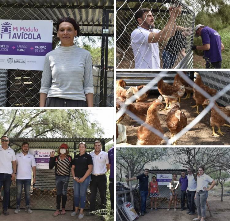 Módulos avícolas para mujeres.Emprendurismo Rurales que ya comenzó producción.
