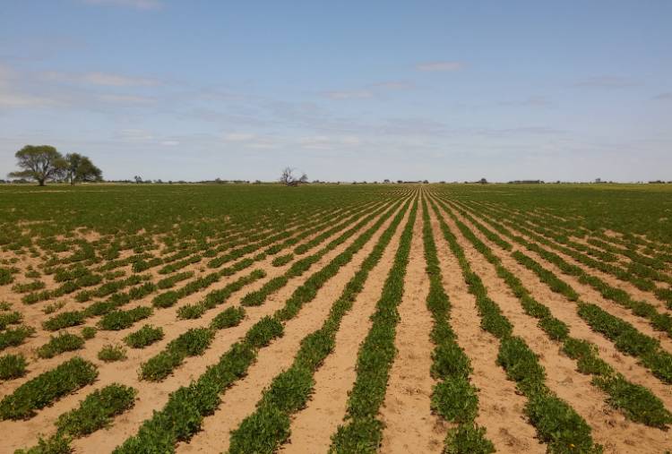 V. MERCEDES: encuentro de la Comisión Provincial de Suelos 