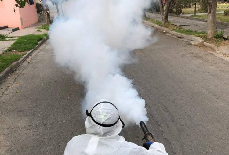 Ciudad de San Luis: campaña “Todos contra el dengue”
