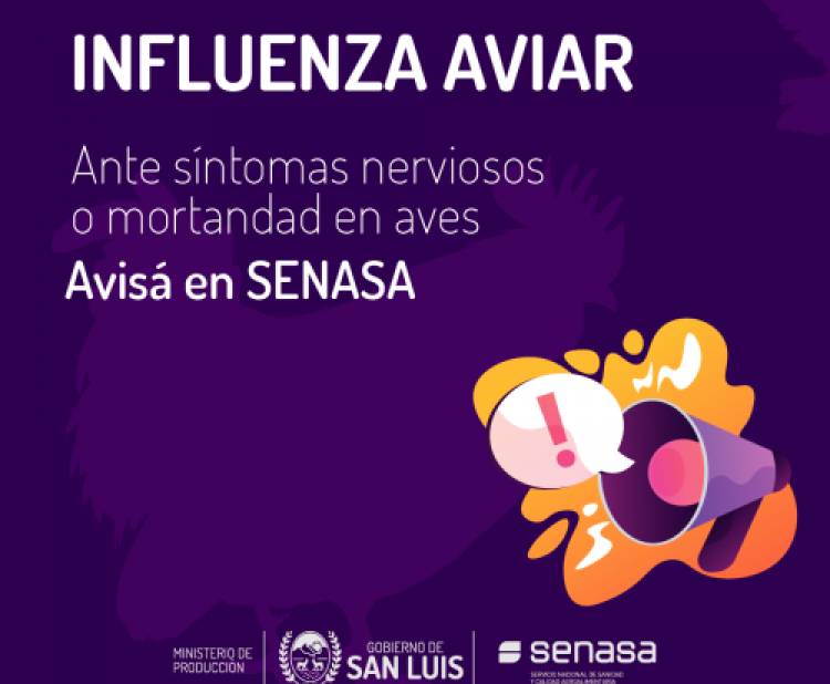 GRIPE AVIAR: COORDINAN ACCIONES DE ALERTA Y PREVENCIÓN
