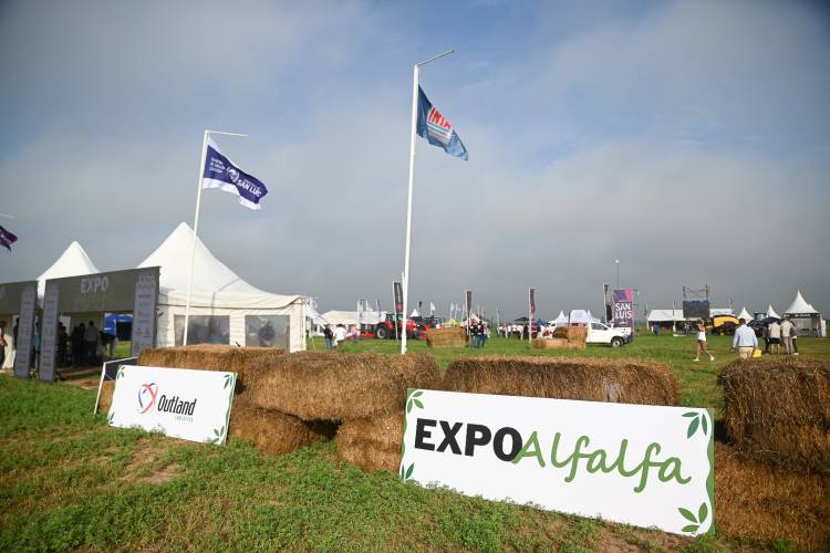 ARRANCÓ LA EXPO ALFALFA 2023 CON MÁS DE 450 INSCRIPTOS