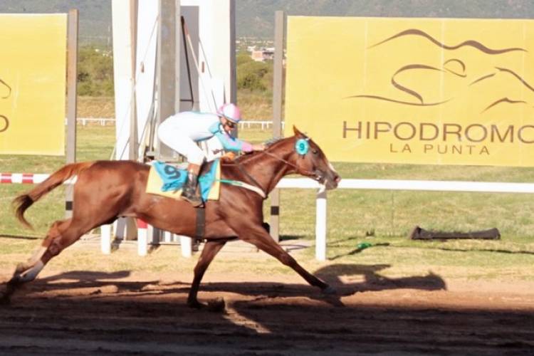 TURF: este domingo se disputa el Gran Premio Vicente Dupuy