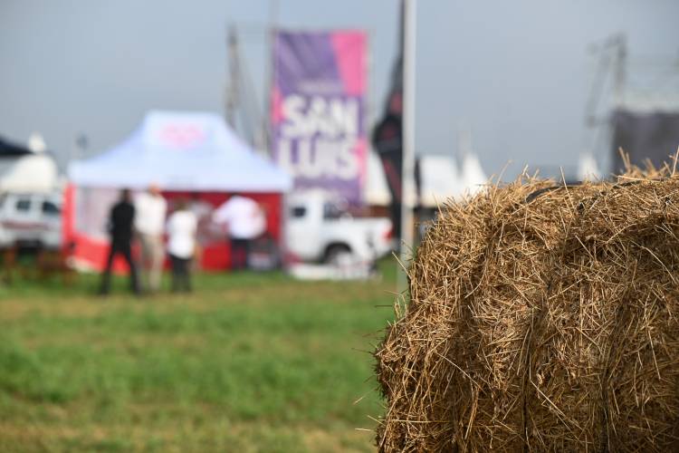 SAN LUIS EMPEZÓ A FORJAR SU MODELO DE EXPORTACIÓN