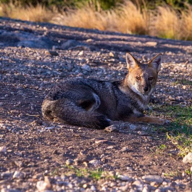 Merlo:Repavimentarán el camino al FILO.Otra obra de aporte al Turismo 