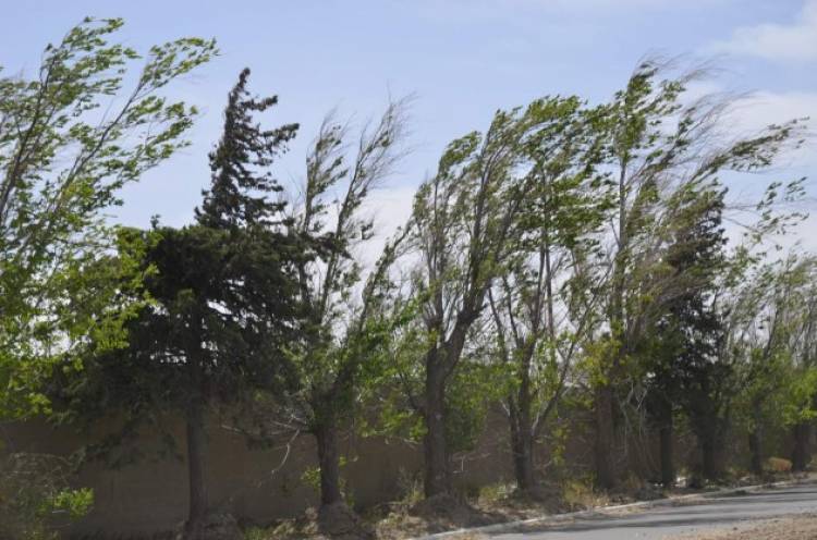 ALERTA METEOROLÓGICA: VIENTOS DE 75 KM/H 